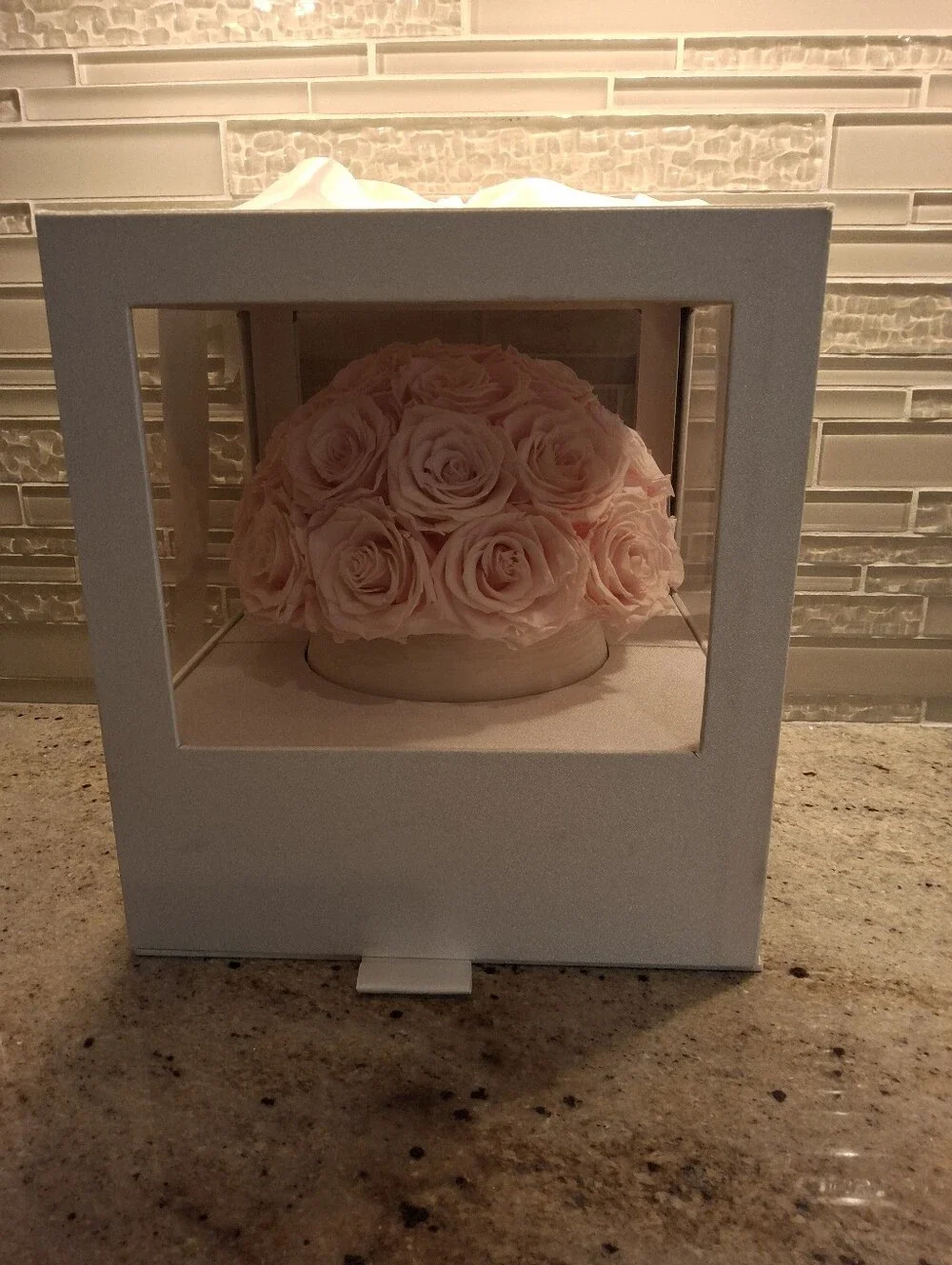 Belle Rose belle rose